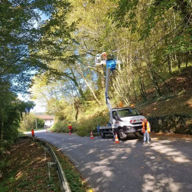 Travaux d’élagage sur les lignes électriques basse tension à compter du 7 avril 2026