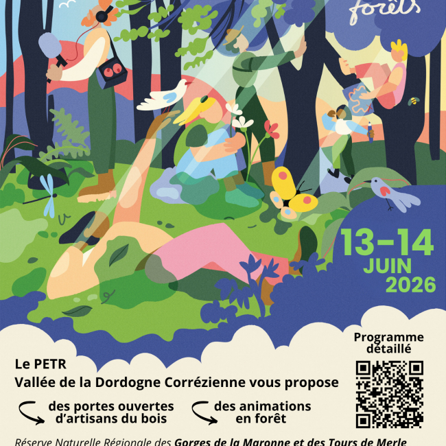 Les nuits des forêts les 13 et 14 juin 2026
